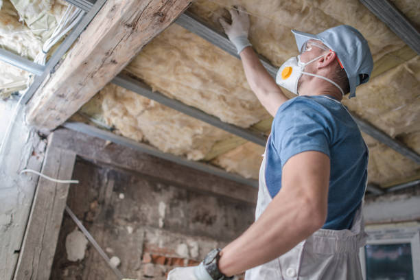 Best Blown-in Insulation in Mesa Del Caballo, AZ