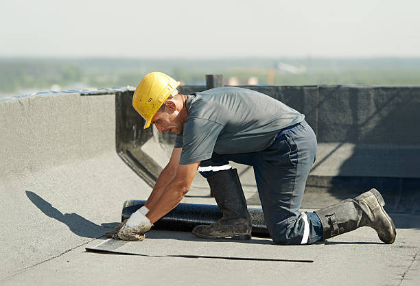 Best Specialized Insulation Services in Mesa Del Caballo, AZ
