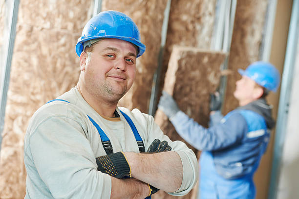 Best Cellulose Insulation in Mesa Del Caballo, AZ