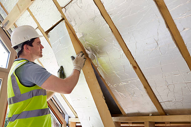 Best Commercial Insulation in Mesa Del Caballo, AZ